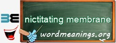 WordMeaning blackboard for nictitating membrane